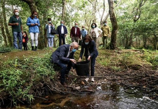 Media Ambiente realiza unha solta de 100 troitas no Couto de Verdes para contrubuír a preservar o ecosistema no río Anllóns